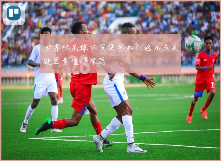世界杯足球中国没参加?这几点关键因素值得深思