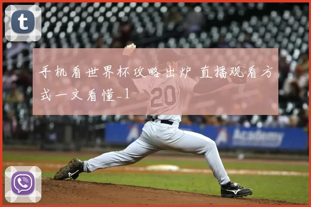 手机看世界杯攻略出炉 直播观看方式一文看懂_1