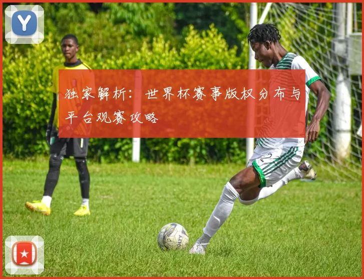 独家解析：世界杯赛事版权分布与平台观赛攻略