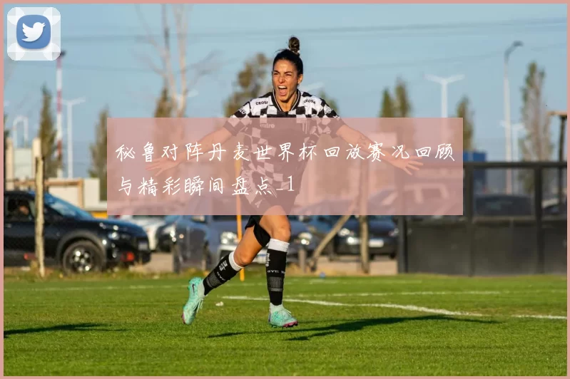 秘鲁对阵丹麦世界杯回放赛况回顾与精彩瞬间盘点_1