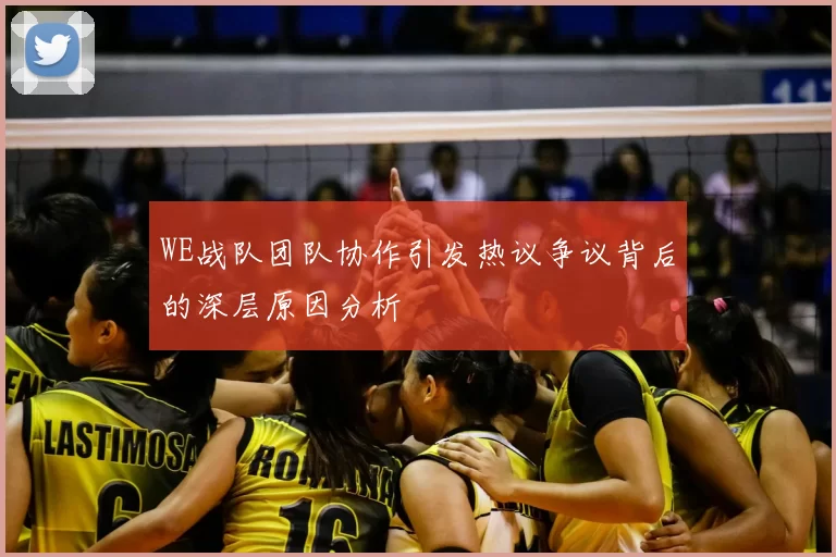 WE战队团队协作引发热议争议背后的深层原因分析