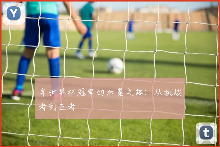 年世界杯冠军的加冕之路：从挑战者到王者