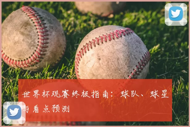 世界杯观赛终极指南：球队、球星与看点预测