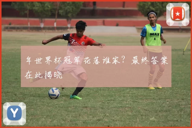 年世界杯冠军花落谁家?最终答案在此揭晓