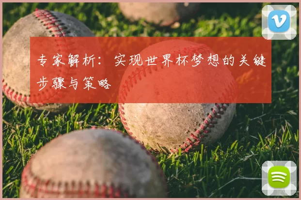专家解析：实现世界杯梦想的关键步骤与策略