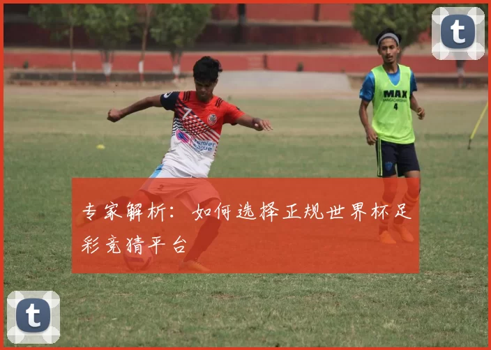 专家解析：如何选择正规世界杯足彩竞猜平台
