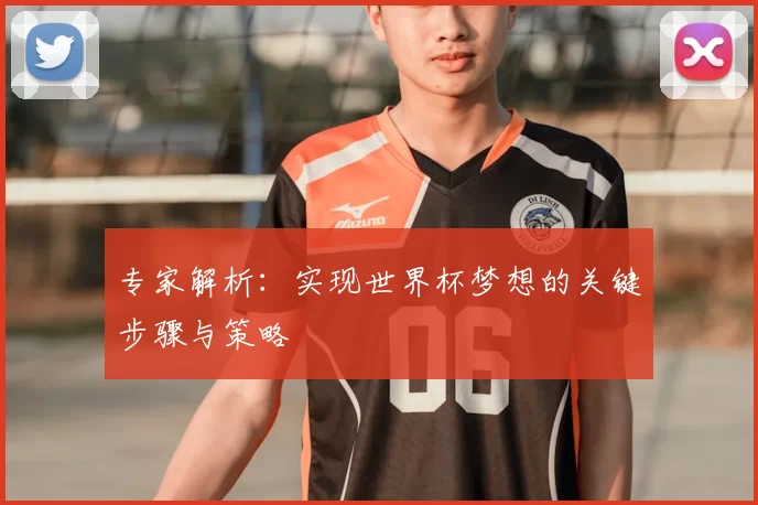 专家解析：实现世界杯梦想的关键步骤与策略
