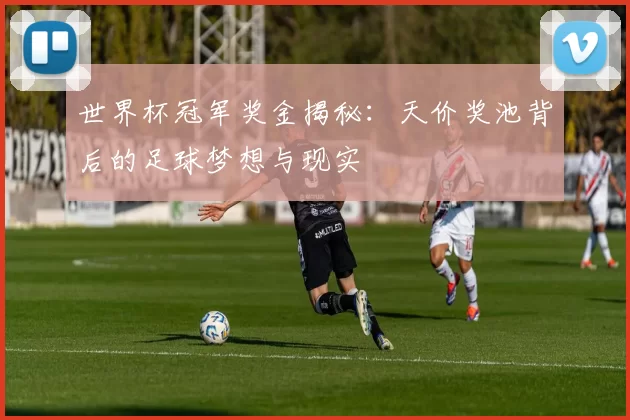 世界杯冠军奖金揭秘：天价奖池背后的足球梦想与现实