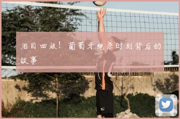泪目回放!葡萄牙绝杀时刻背后的故事